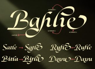 Dh Alani Rosle Font preview image 2