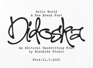 Didoska – Editorial Handwriting Font preview image 1