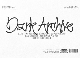 Didoska – Editorial Handwriting Font preview image 2