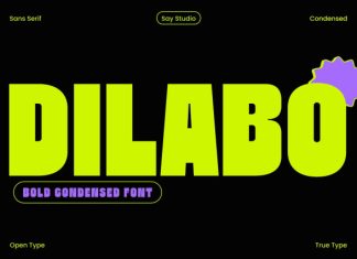 Dilabo – Bold Condensed Font preview image 1