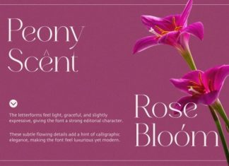 Earthy Font preview image 3
