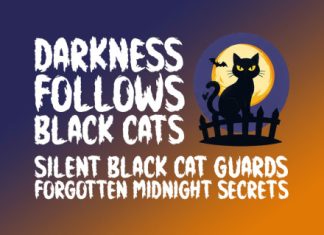 Echo Haunt Font preview image 3