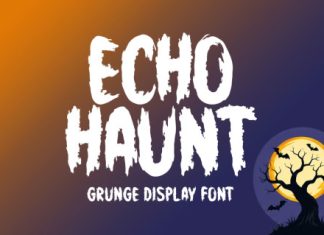 Echo Haunt Font preview image 1