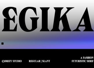 Egika – Fashion Futuristic Serif Font preview image 1
