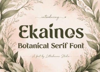 Ekainos Font preview image 1