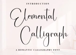 Elemental Calligraph Font preview image 1