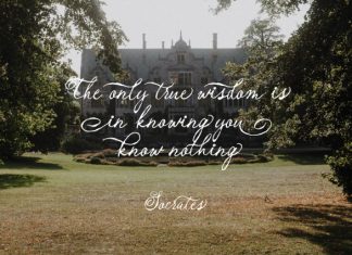 Enchanted Vintage Distressed Script Font preview image 2