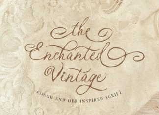 Enchanted Vintage Distressed Script Font preview image 1