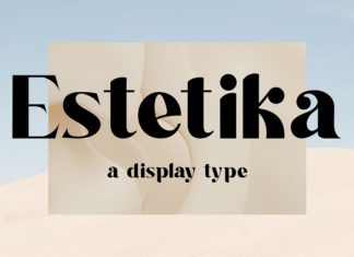 Estetika – Modern Serif Font preview image 1