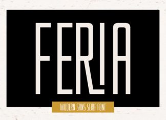 Feria Font Family preview image 1