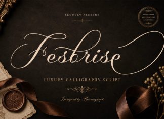 Fesbrise Font preview image 1