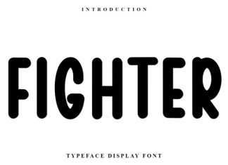 Fighter Font preview image 1