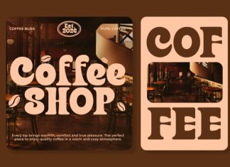 Finer – Classic Bold Serif Typeface Font preview image 3
