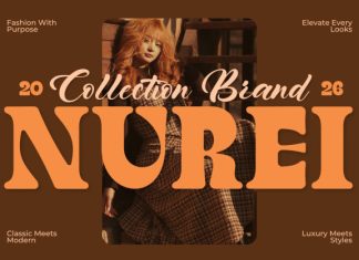 Finer – Classic Bold Serif Typeface Font preview image 2