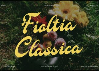 Fioltia Classica Vilntage Bold Script Font preview image 1