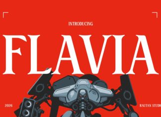 Flavia Font preview image 1