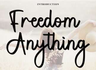 Freedom Anything Font preview image 1