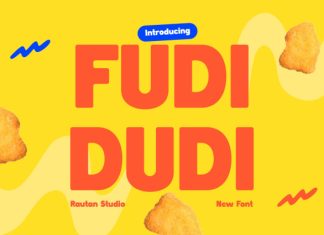 Fudidudi Font preview image 1