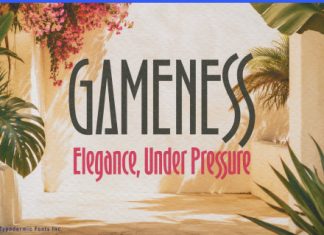 Gameness Font Family preview image 1