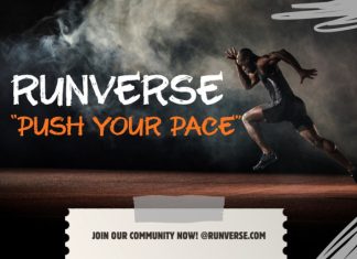 Gejiro Brush Font preview image 3
