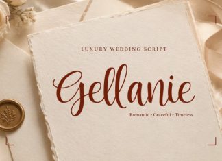 Gellanie Demo Font preview image 1