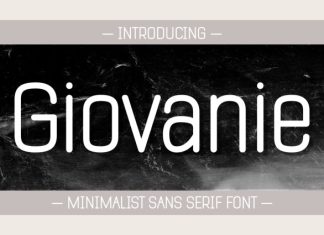 Giovanie Font Family preview image 1