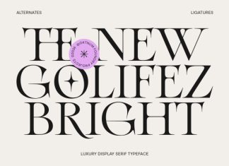 Golifez Bright Serif Font preview image 1