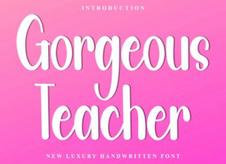 Gorgeous Teacher Font preview image 1