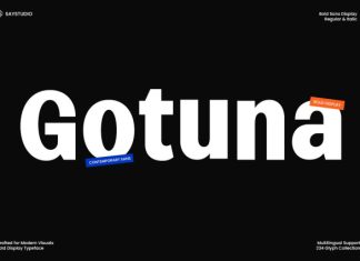 Gotuna – Bold Sans Serif Typeface Font preview image 1