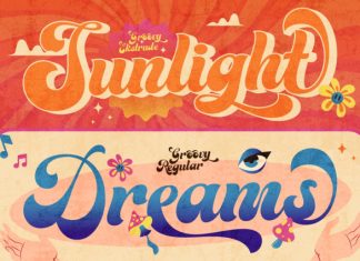 Groovy Signature – Retro Font preview image 3