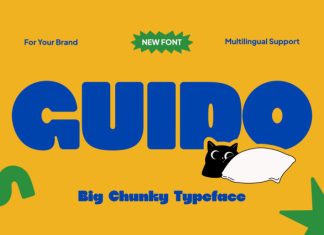 Guido Font preview image 1