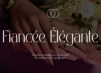 Hanami Font preview image 3