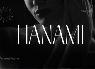 Hanami Font preview image 1