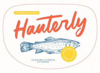 Hauterly – Bold Handwritten Font preview image 1