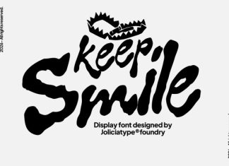 Hella Punk Display Font preview image 3