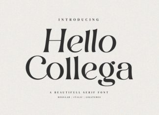 Hello Collega Font preview image 1