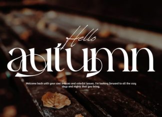Historical Resilience – Elegant Font preview image 3