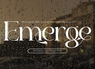 Historical Resilience – Elegant Font preview image 2