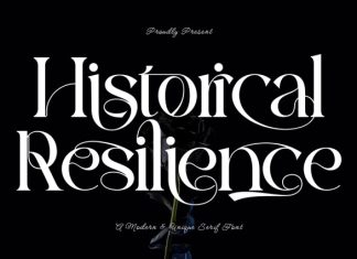 Historical Resilience – Elegant Font preview image 1