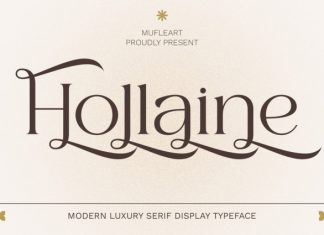 Hollaine – Modern Luxury Serif Typeface Font preview image 1