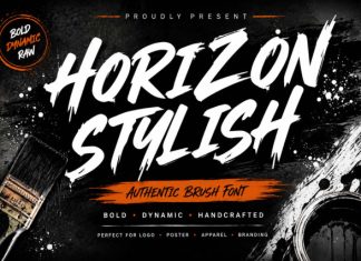 Horizon Stylish Font preview image 1