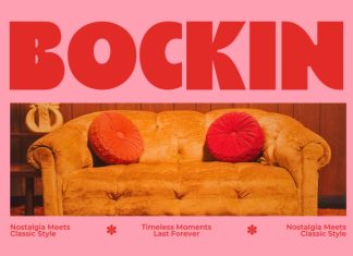 Houte–Retro Bold Display Font preview image 3