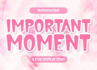 Important Moment Font preview image 1