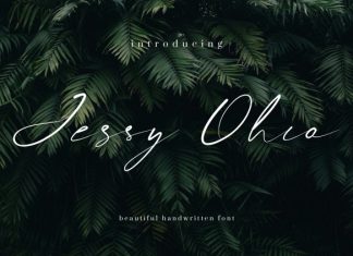 Jessy Ohio Font preview image 1