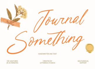 Journal Something Font preview image 1