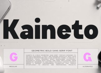 Kaineto – Geometric Bold Sans Serif Font preview image 1