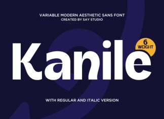 Kanile – Modern Aesthetic Sans Serif Font preview image 1