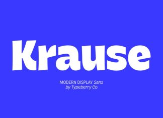 Krause Font Family preview image 1