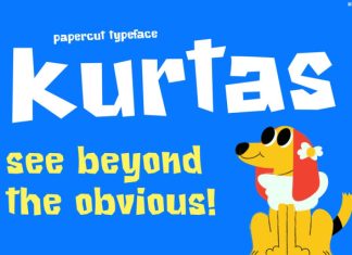 Kurtas Font preview image 3