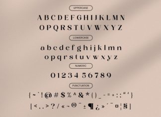 Layer Valenas – Serif Typeface Font preview image 3